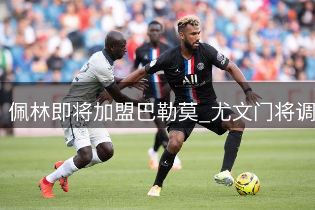 佩林即将加盟巴勒莫 尤文门将调整接近完成